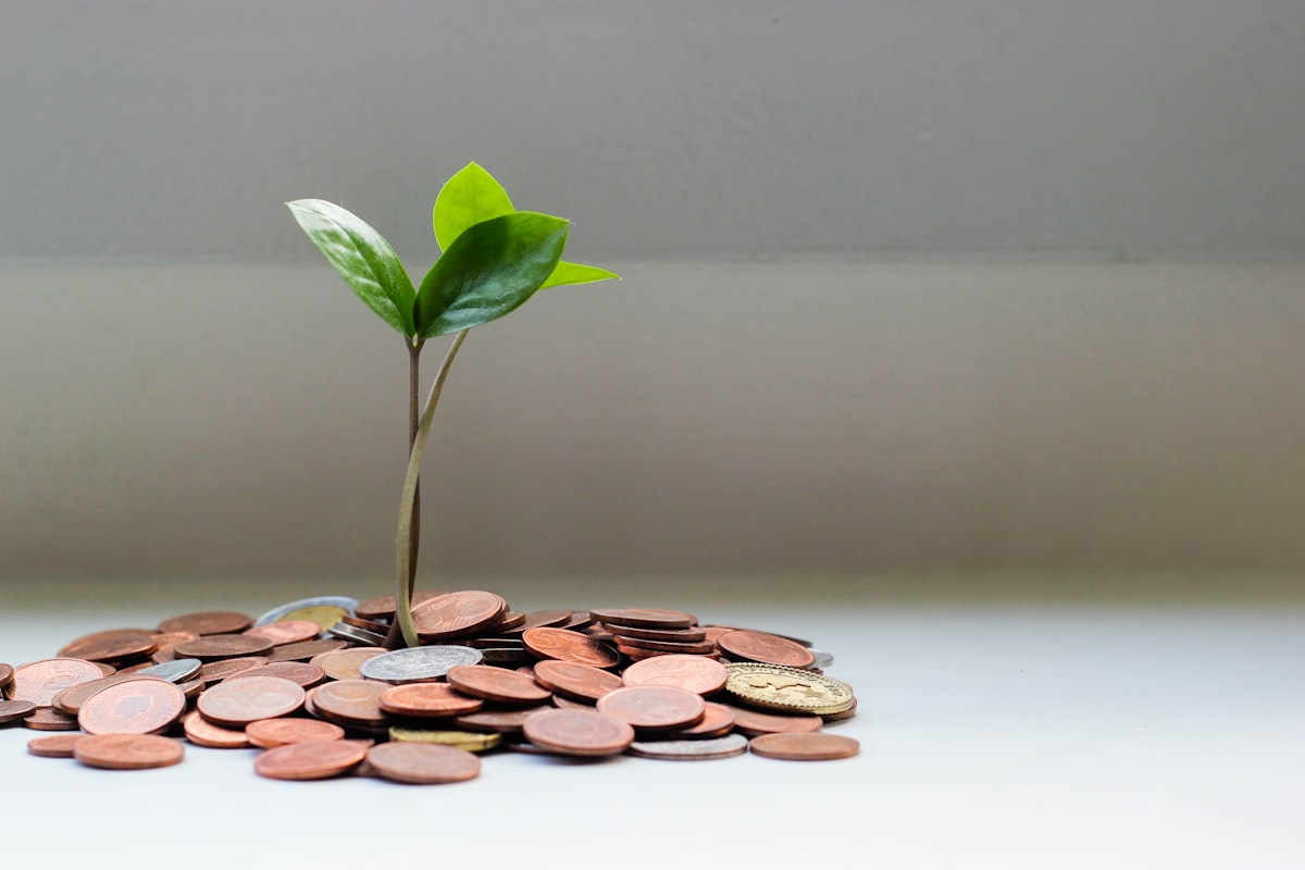 GPT-6 Astra API-Preise: Was kostet ein Coding Task?